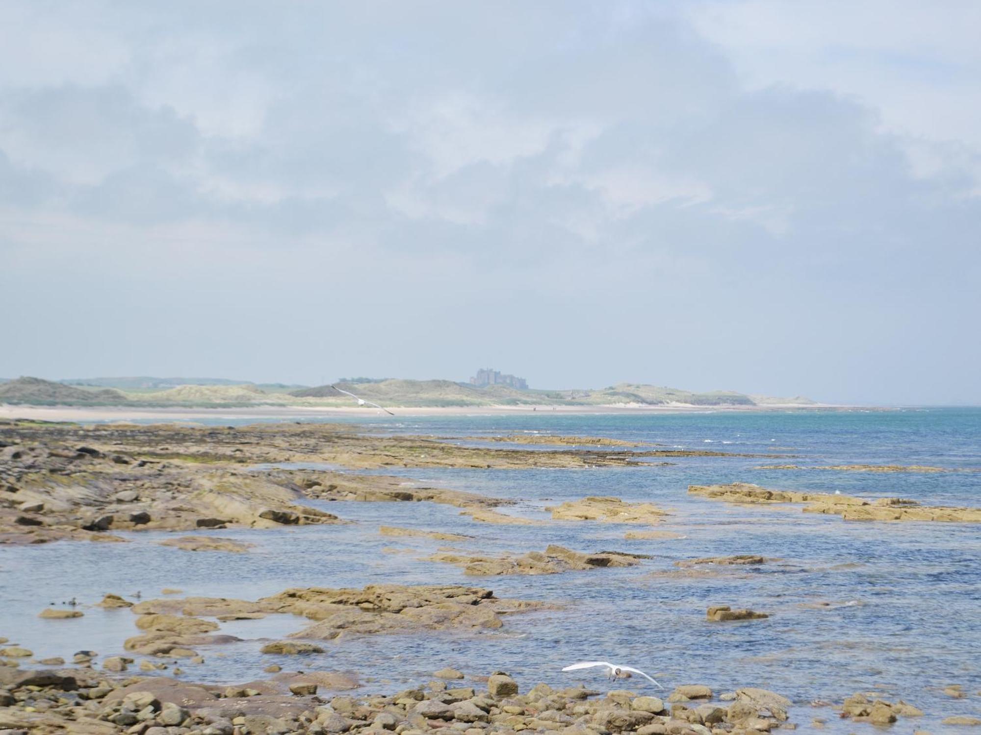 Daisy Cottage Seahouses Buitenkant foto